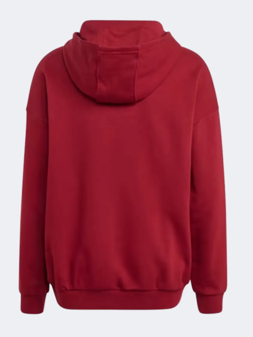 Adidas Collegiate Graphic Kids-Unisex Original Hoody Collegiate Burgundy