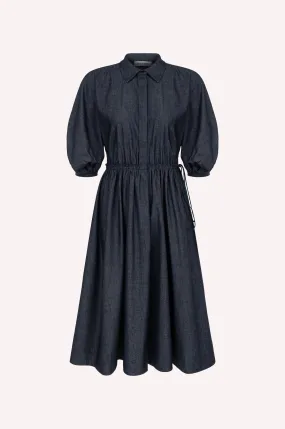Balloon Sleeve Dress