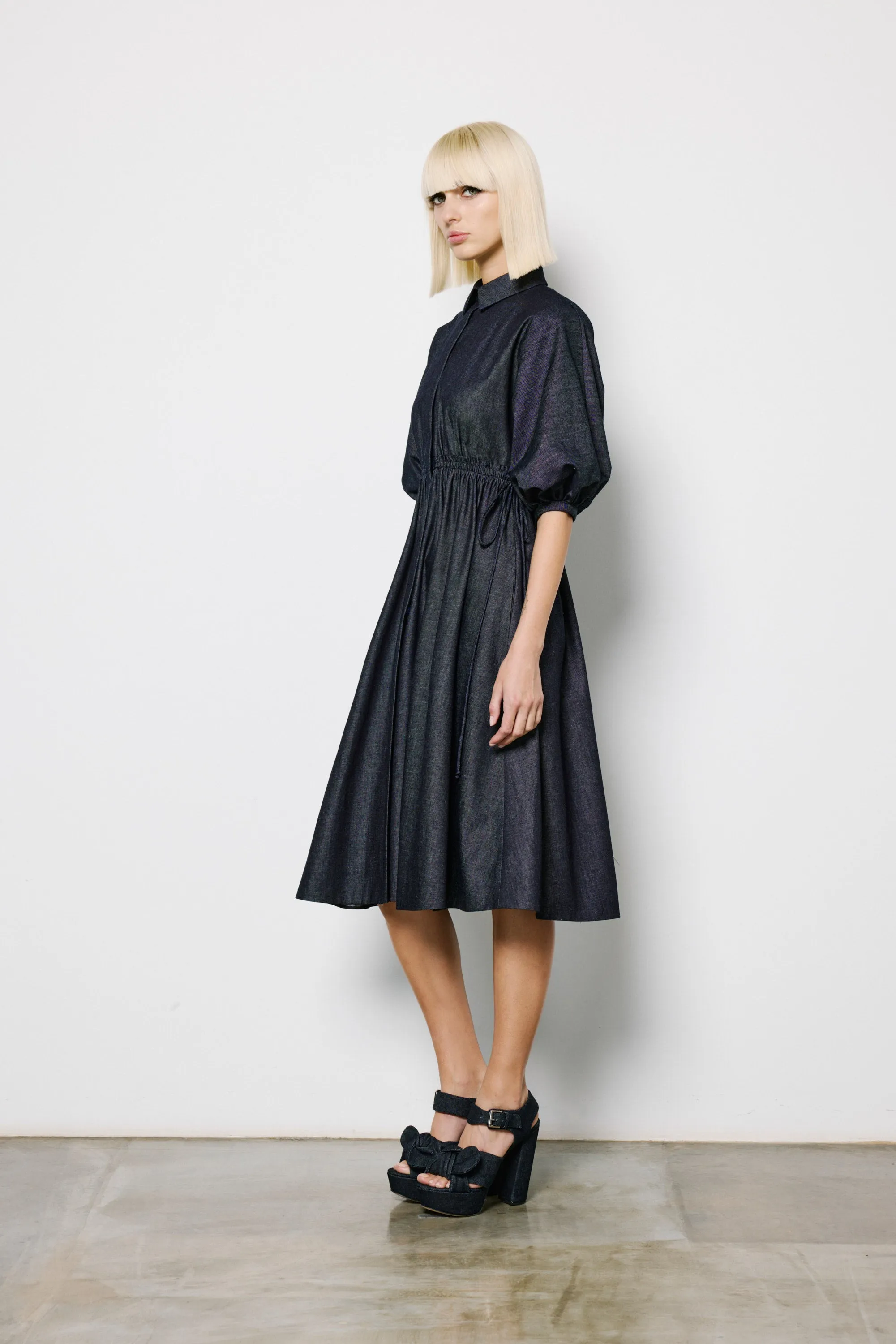 Balloon Sleeve Dress