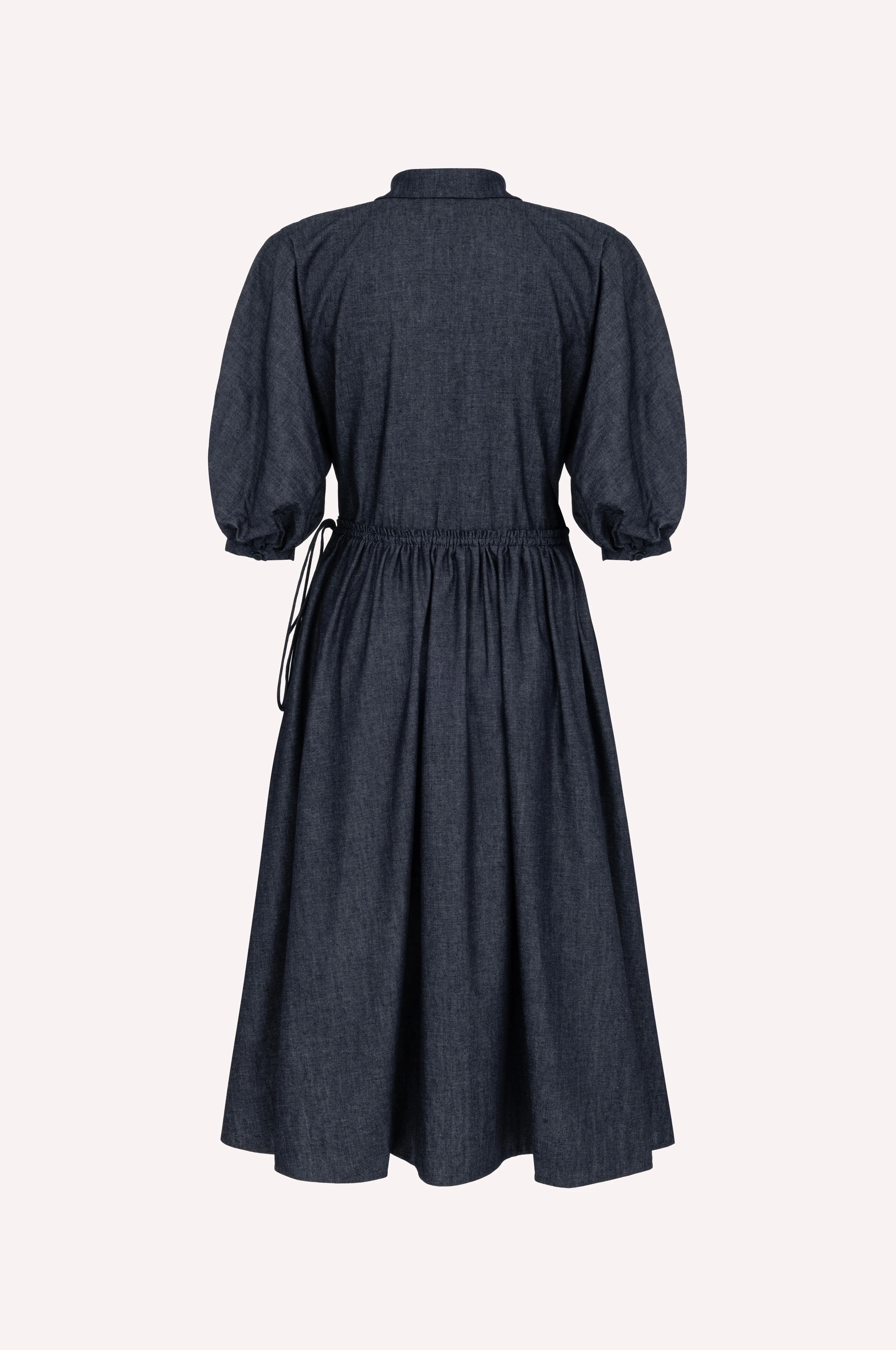 Balloon Sleeve Dress