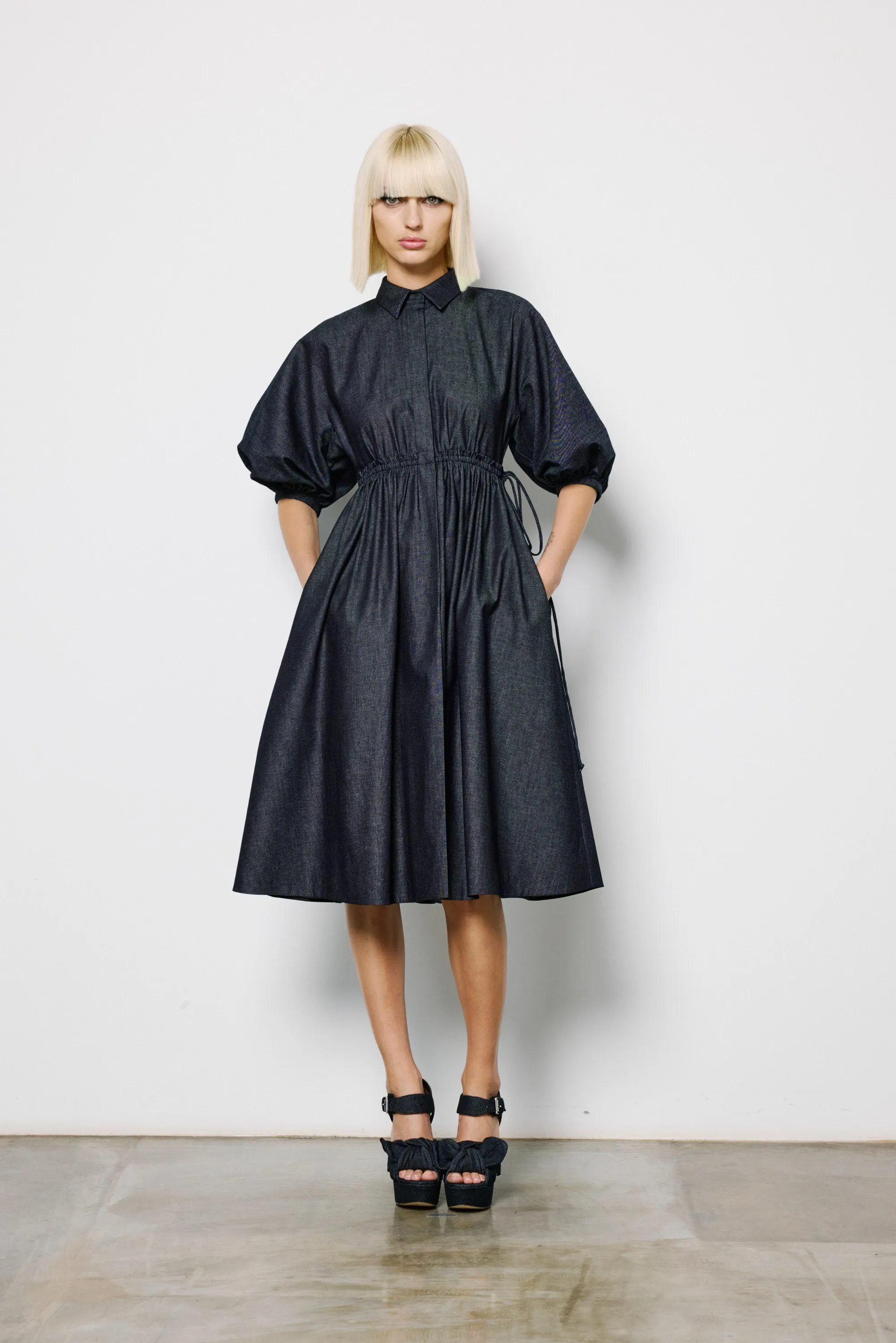 Balloon Sleeve Dress