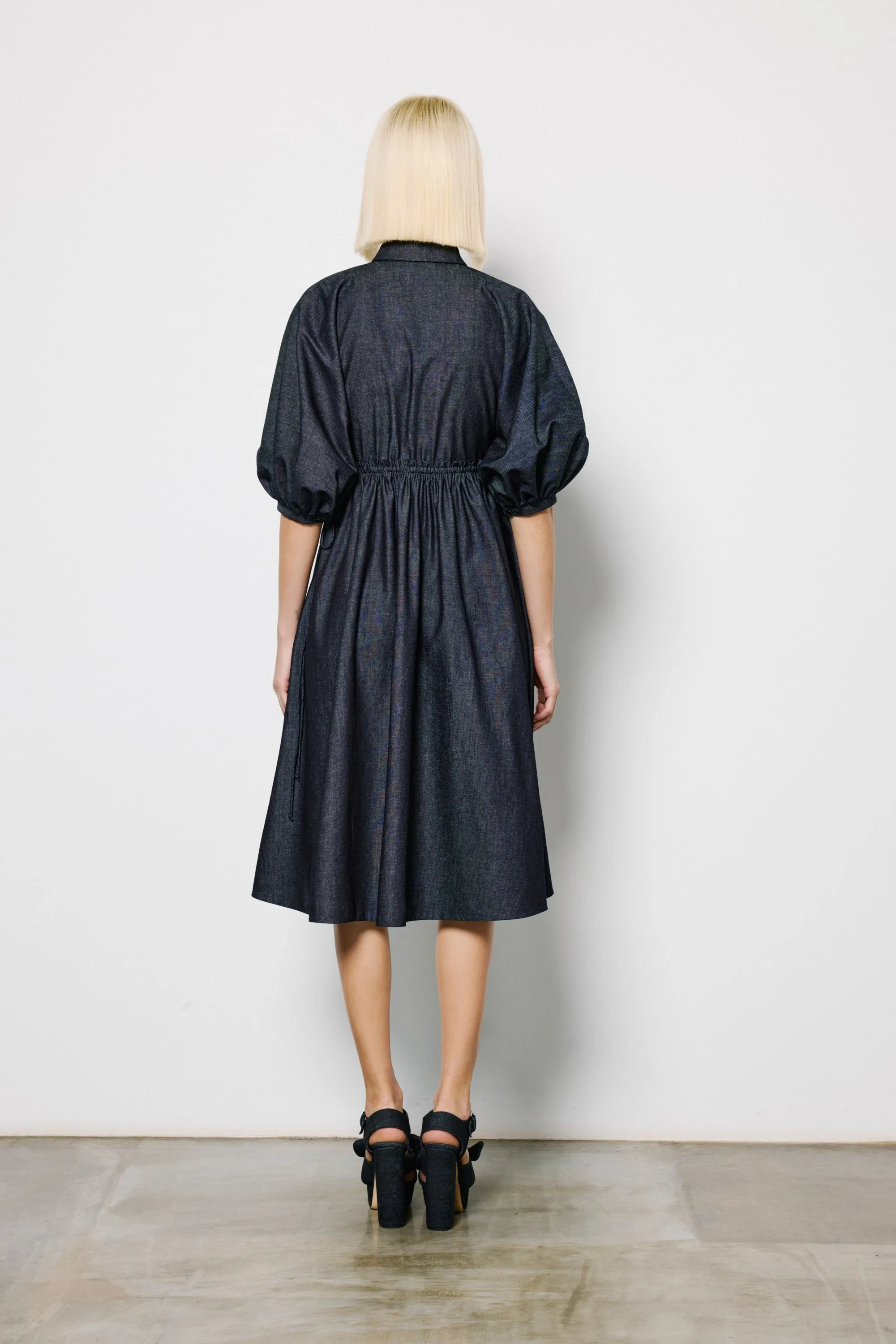 Balloon Sleeve Dress