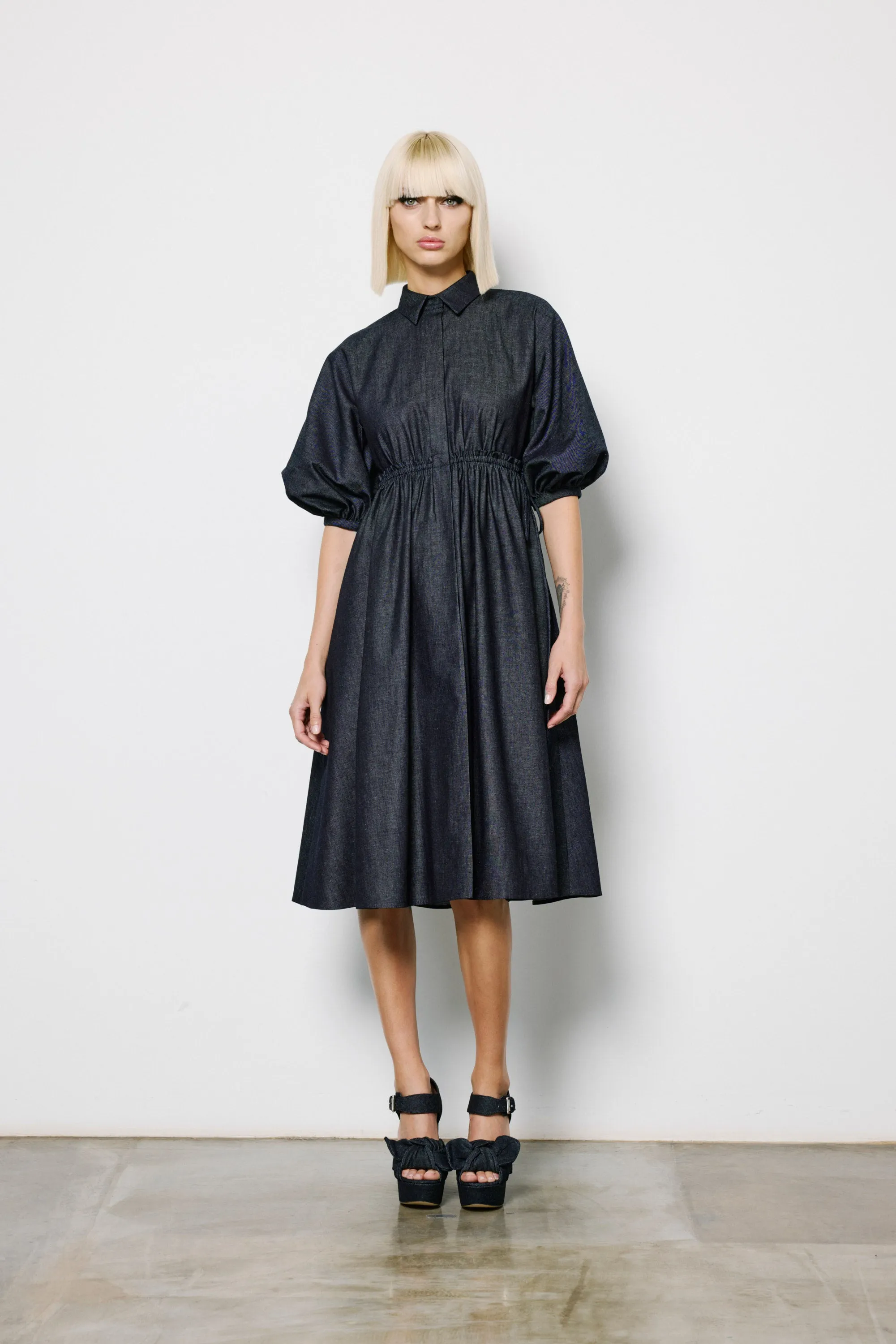 Balloon Sleeve Dress