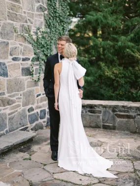 Elegant Mock Neck Bridal Dress Minimalist Chiffon Sheath Wedding Dress Trumpet Wedding Gown AWD2036