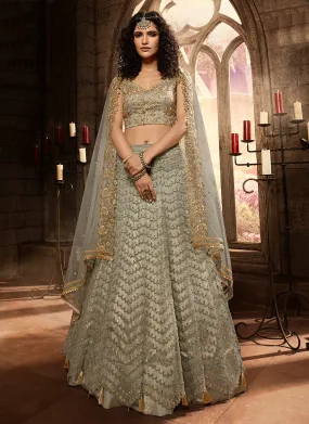 Grey Zari Embroidered Lehenga Choli Set