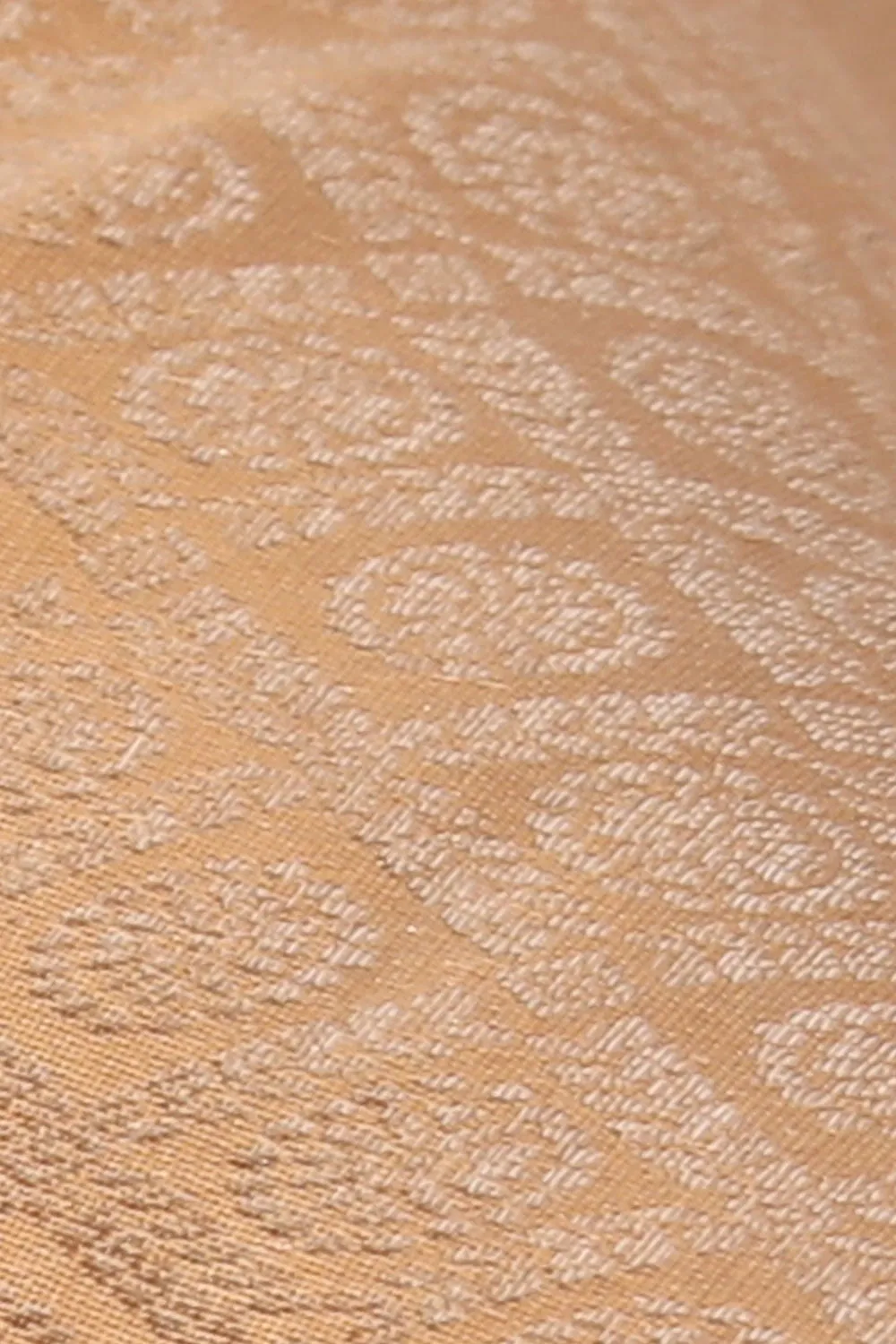 Kanchipattu Brocade Ivory Off-White Saree